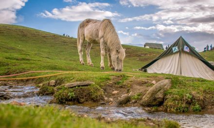 Hvordan vælger du den perfekte sovepose og tilbehør til outdoor-livet