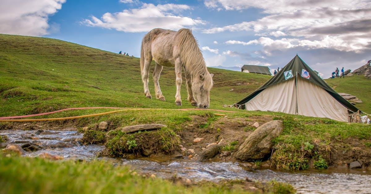 Hvordan vælger du den perfekte sovepose og tilbehør til outdoor-livet